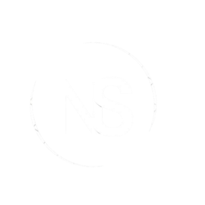 logo ns